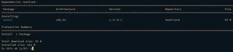 install consul