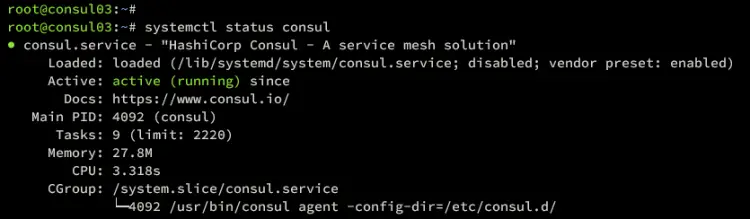 consul03