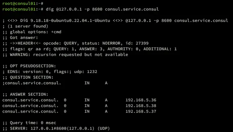 consul dns