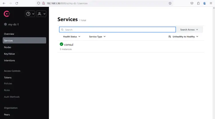 consul dashboard
