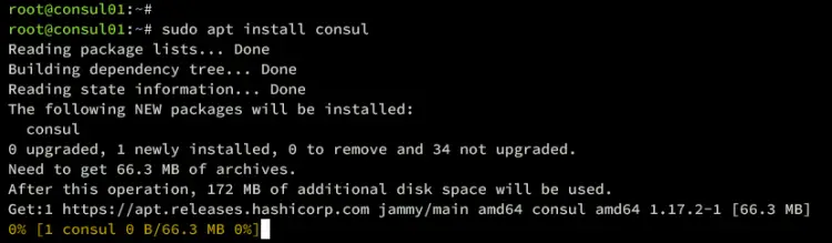 install consul