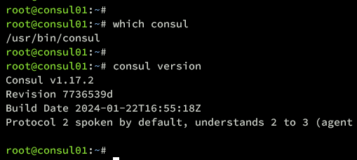 check consul version