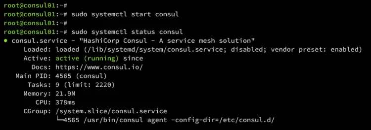consul01 status