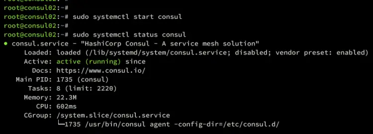 consul02