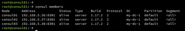 check consul config