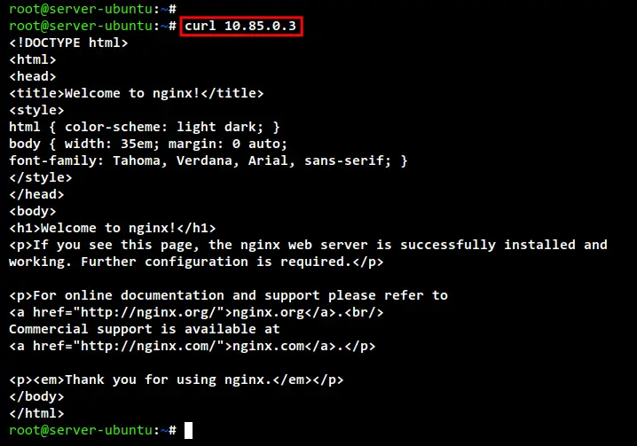 acccess nginx pod