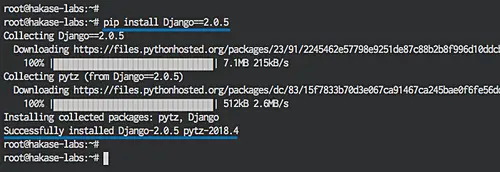 Install specific Django version