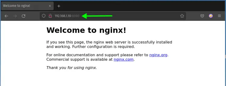 Verify Nginx status Docker container