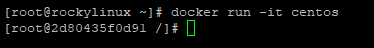 docker run centos container