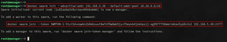 initialize swarm manager