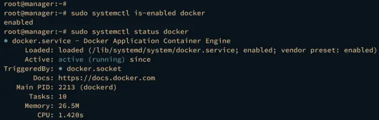 check docker service