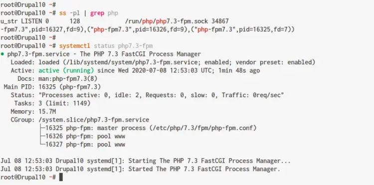 check php-fpm service and sock file