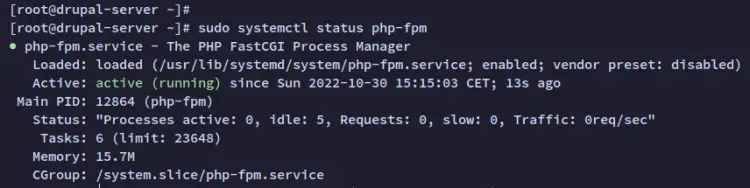 check php-fpm