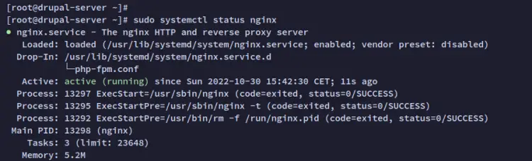 check nginx