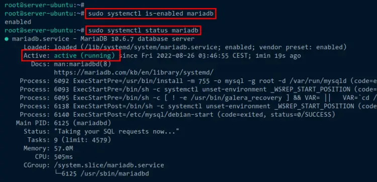 check mariadb