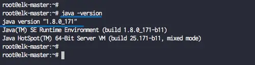 Test installed Java version