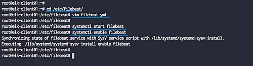 Configure Filebeat