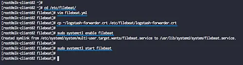Configure Filebeat