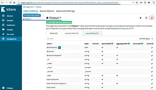 Filebeat index pattern created