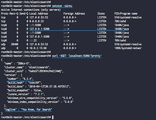 Check elasticsearch port