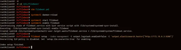 Install and Configure Filebeat