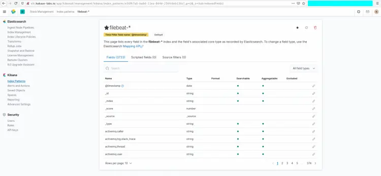 Filebeat Index Pattern has been created