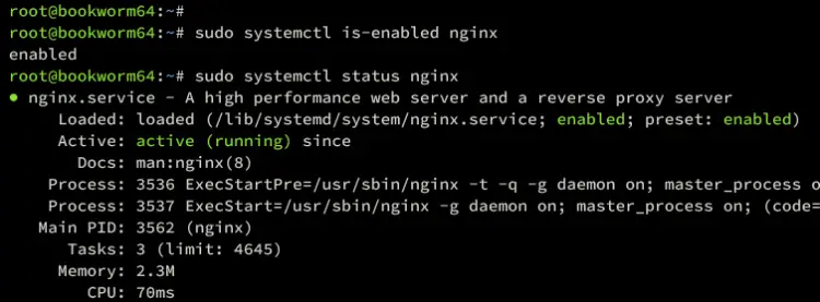 verify nginx