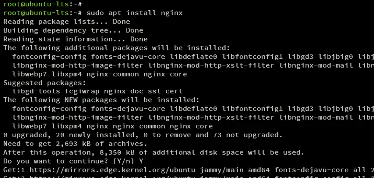 install nginx