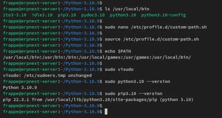 setup python