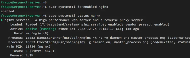 verify nginx
