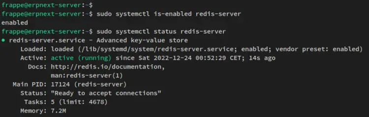verify redis