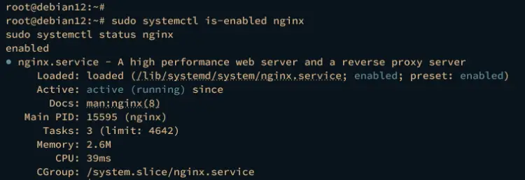 check nginx