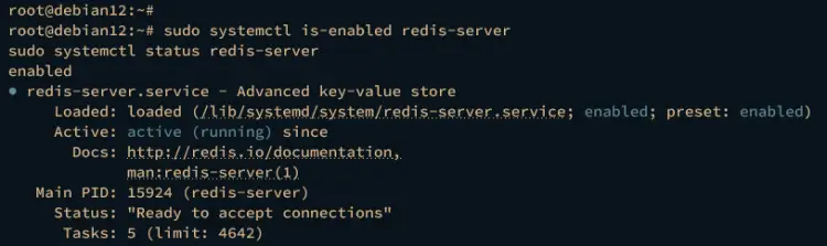 check redis