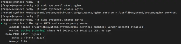 verify nginx