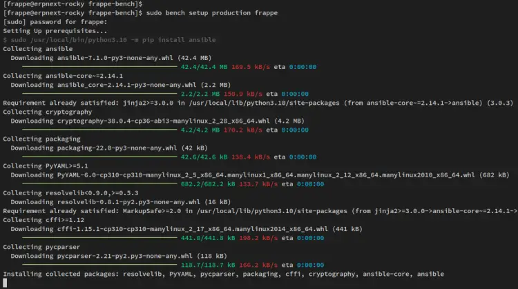 setup erpnext for production