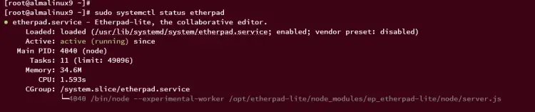 verify etherpad service