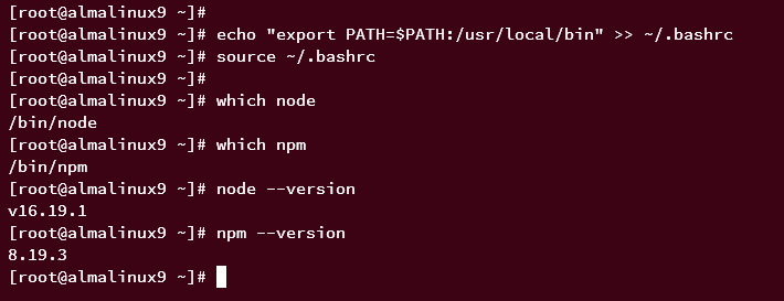 checking node.js and npm