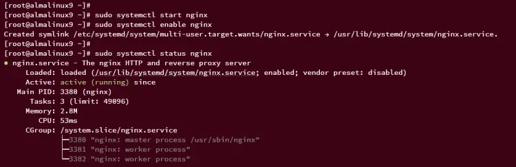 start enable verify nginx