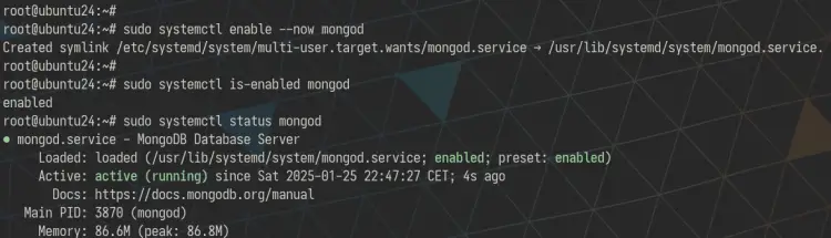 start enable and verify