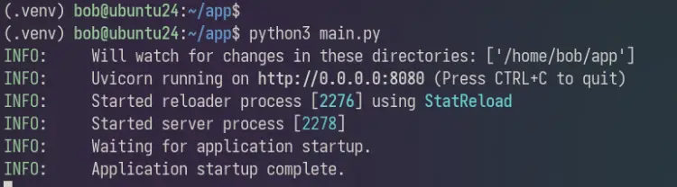 run fastapi