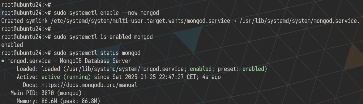 How to Install Fast API with MongoDB on Ubuntu 24.04