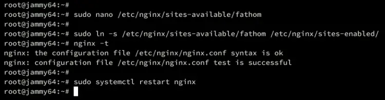nginx reverse proxy