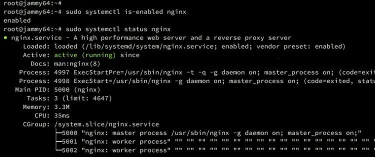 check nginx