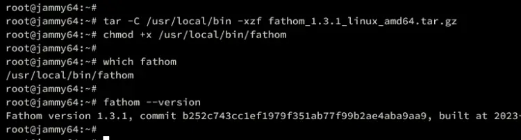 check fathom version
