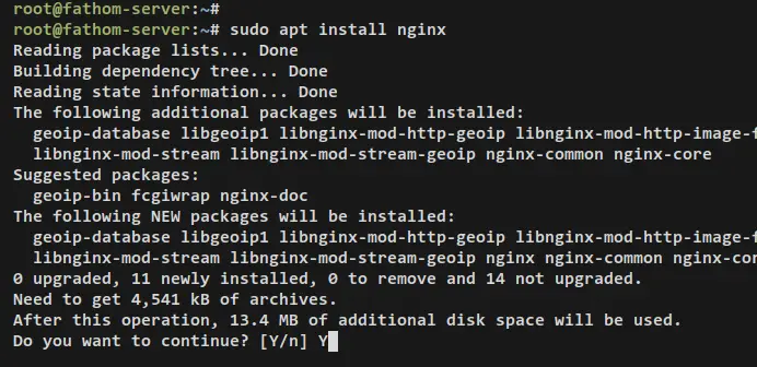 install nginx