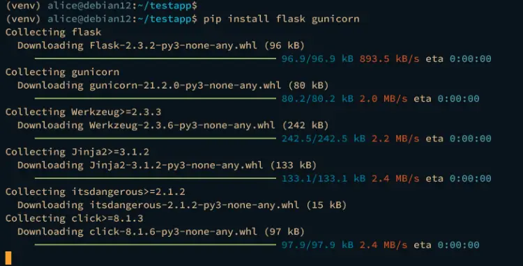 install flask gunicorn