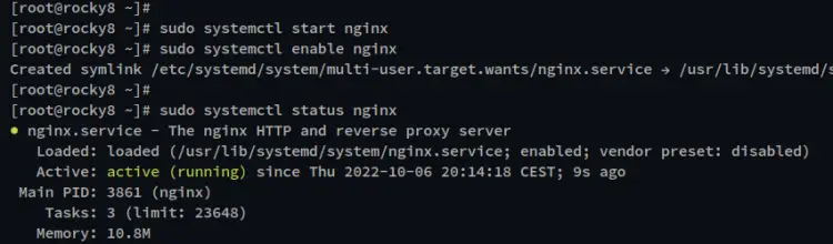 check nginx'