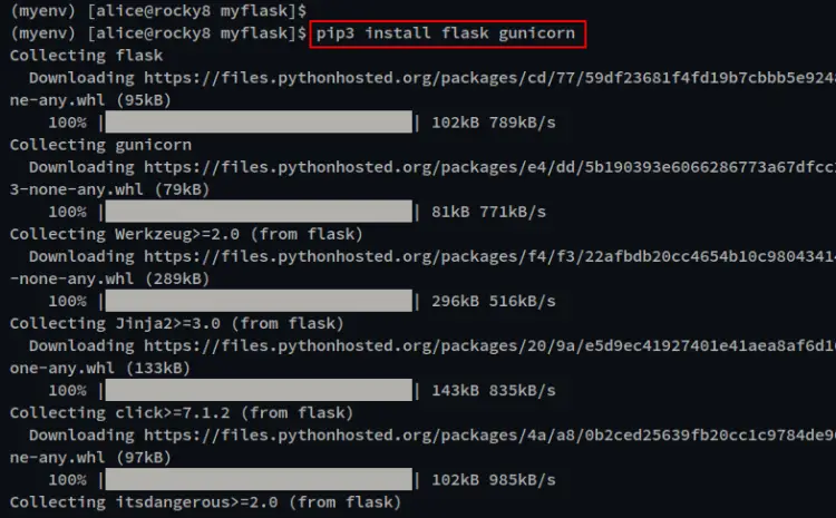 install flask gunicorn