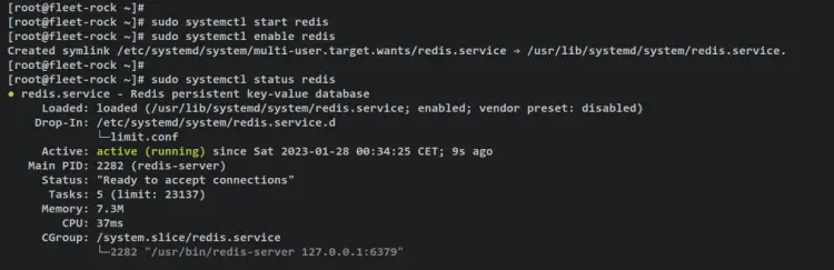 verify redis