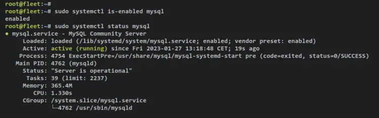 verify mysql server